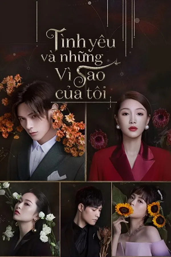 Tình Yêu Và Những Vì Sao Của Tôi